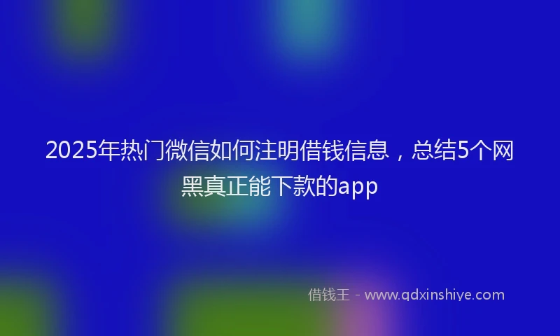 2025年热门微信如何注明借钱信息，总结5个网黑真正能下款的app