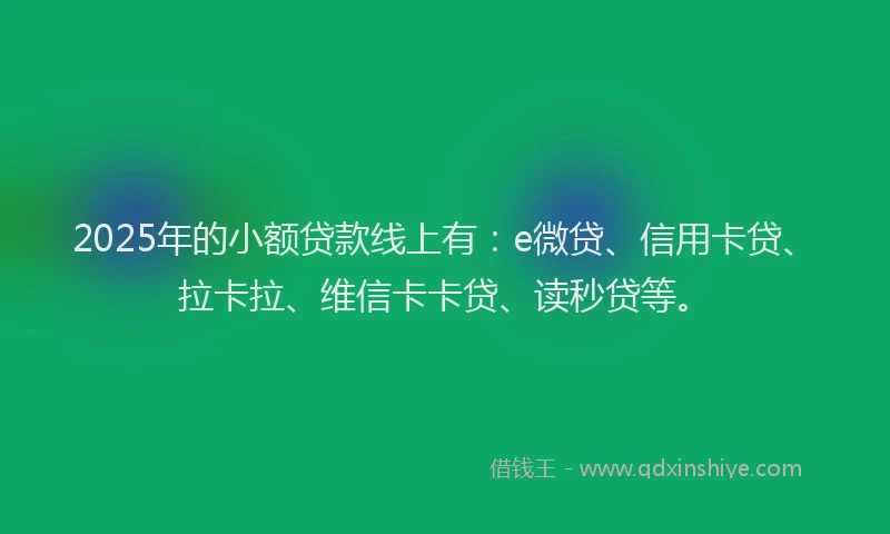 2025年的小额贷款线上有：e微贷、信用卡贷、拉卡拉、维信卡卡贷、读秒贷等。