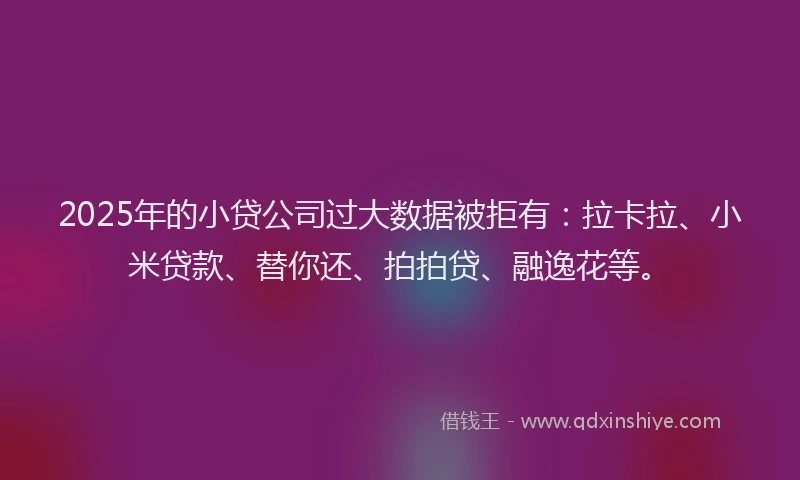 2025年的小贷公司过大数据被拒有：拉卡拉、小米贷款、替你还、拍拍贷、融逸花等。