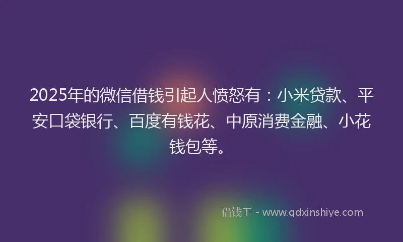 2025年的微信借钱引起人愤怒有：小米贷款、平安口袋银行、百度有钱花、中原消费金融、小花钱包等。