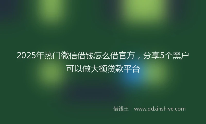 2025年热门微信借钱怎么借官方，分享5个黑户可以做大额贷款平台