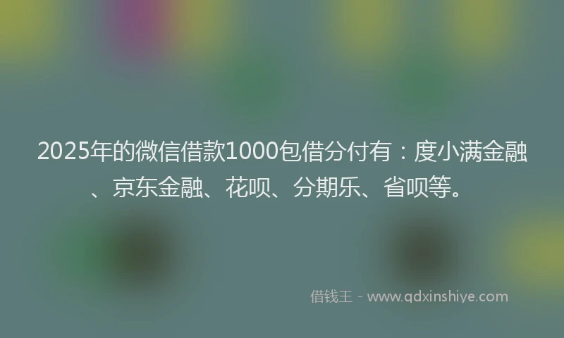 2025年的微信借款1000包借分付有：度小满金融、京东金融、花呗、分期乐、省呗等。