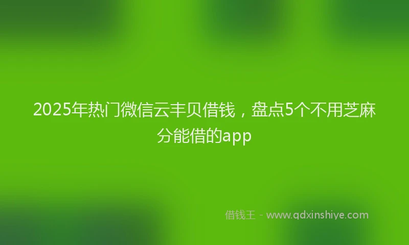 2025年热门微信云丰贝借钱，盘点5个不用芝麻分能借的app