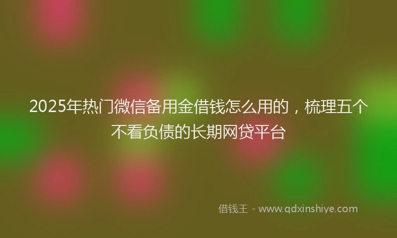 2025年热门微信备用金借钱怎么用的，梳理五个不看负债的长期网贷平台