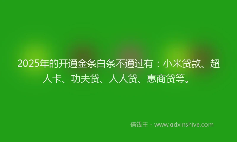 2025年的开通金条白条不通过有：小米贷款、超人卡、功夫贷、人人贷、惠商贷等。