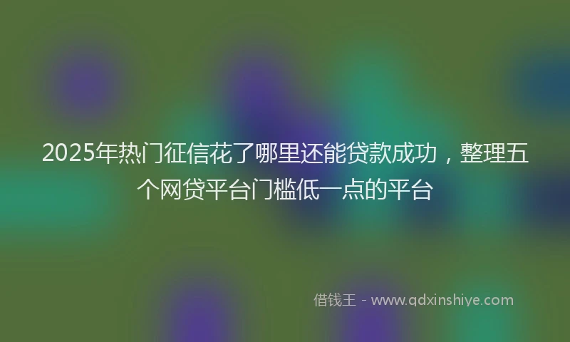2025年热门征信花了哪里还能贷款成功，整理五个网贷平台门槛低一点的平台