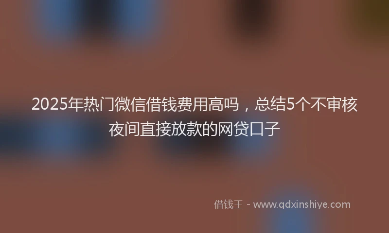 2025年热门微信借钱费用高吗，总结5个不审核夜间直接放款的网贷口子