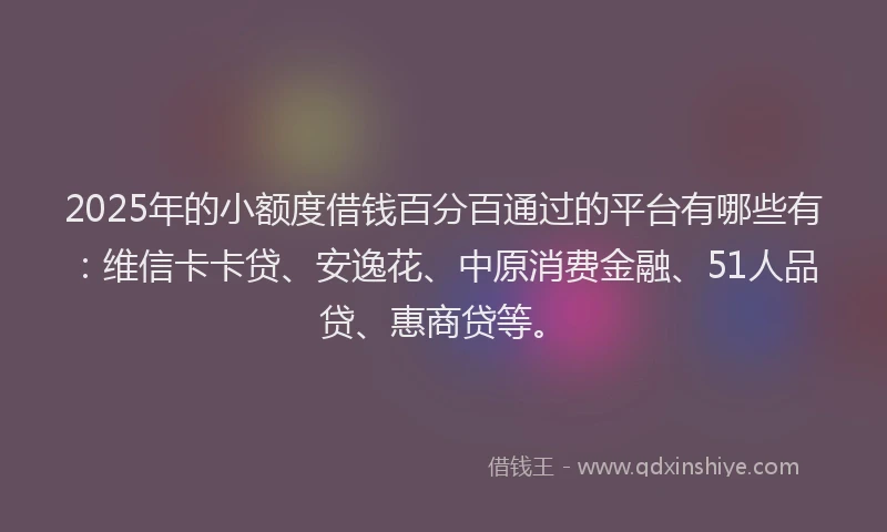 2025年的小额度借钱百分百通过的平台有哪些有：维信卡卡贷、安逸花、中原消费金融、51人品贷、惠商贷等。