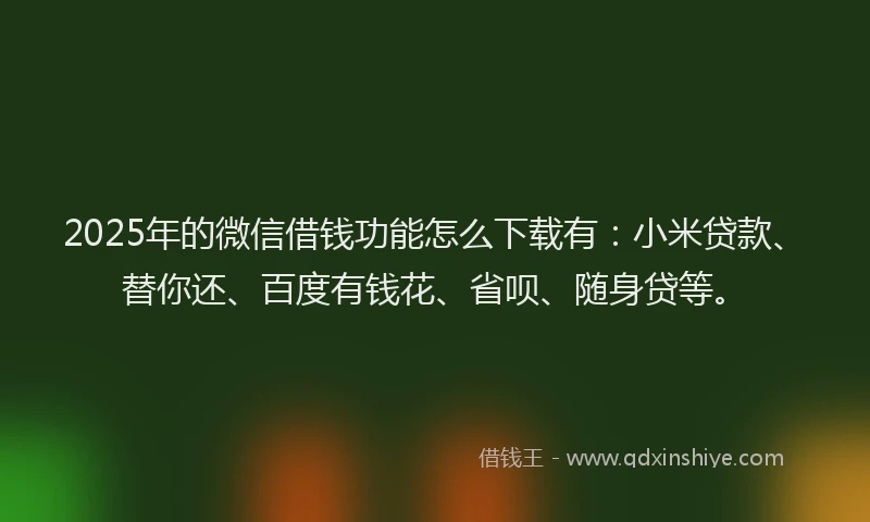 2025年的微信借钱功能怎么下载有：小米贷款、替你还、百度有钱花、省呗、随身贷等。