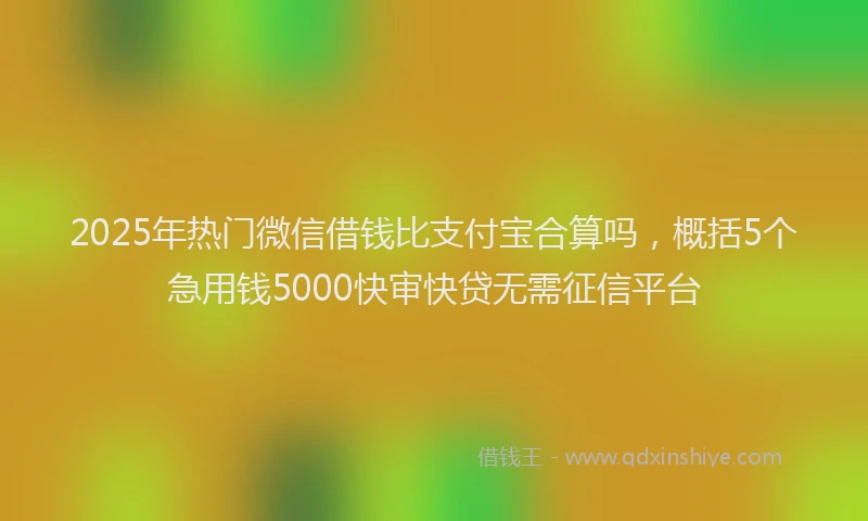 2025年热门微信借钱比支付宝合算吗，概括5个急用钱5000快审快贷无需征信平台