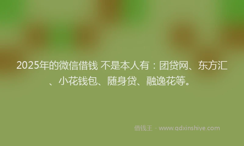 2025年的微信借钱 不是本人有：团贷网、东方汇、小花钱包、随身贷、融逸花等。