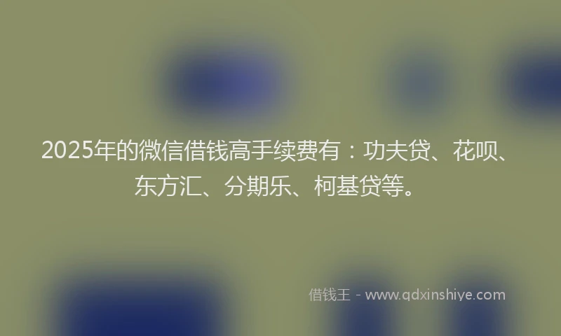 2025年的微信借钱高手续费有：功夫贷、花呗、东方汇、分期乐、柯基贷等。