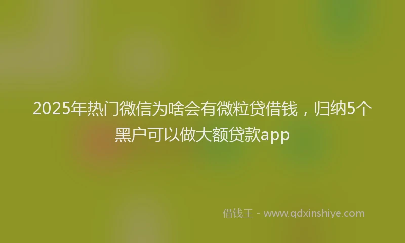 2025年热门微信为啥会有微粒贷借钱，归纳5个黑户可以做大额贷款app