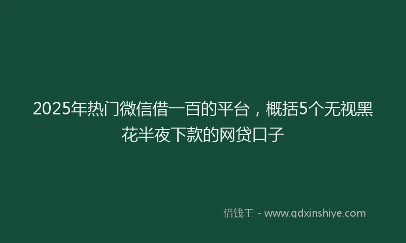 2025年热门微信借一百的平台，概括5个无视黑花半夜下款的网贷口子