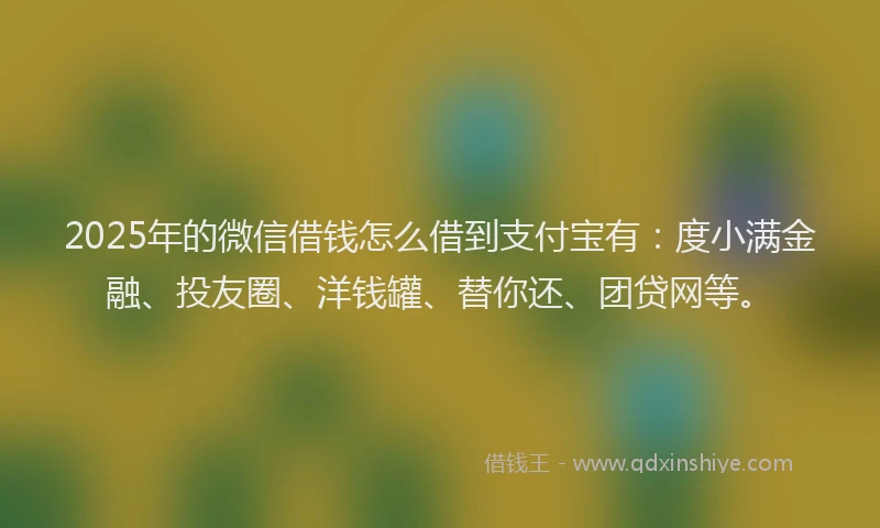 2025年的微信借钱怎么借到支付宝有：度小满金融、投友圈、洋钱罐、替你还、团贷网等。