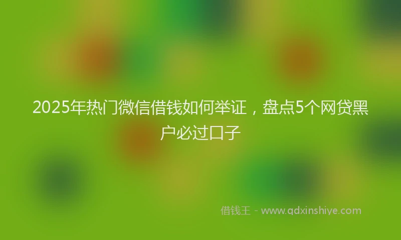 2025年热门微信借钱如何举证，盘点5个网贷黑户必过口子