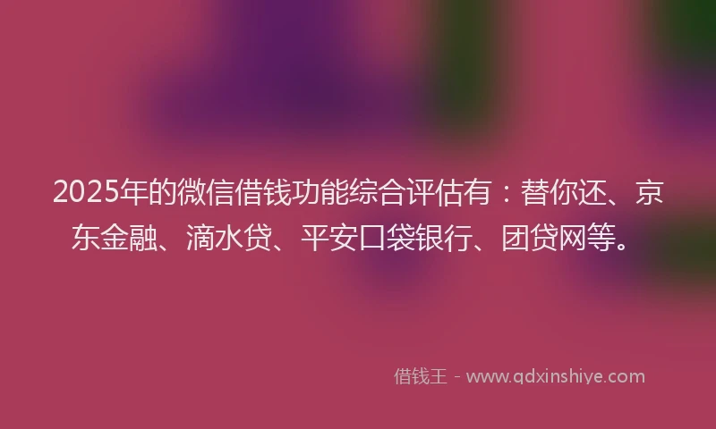 2025年的微信借钱功能综合评估有：替你还、京东金融、滴水贷、平安口袋银行、团贷网等。