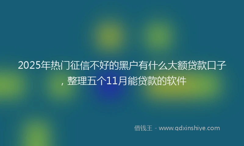 2025年热门征信不好的黑户有什么大额贷款口子，整理五个11月能贷款的软件