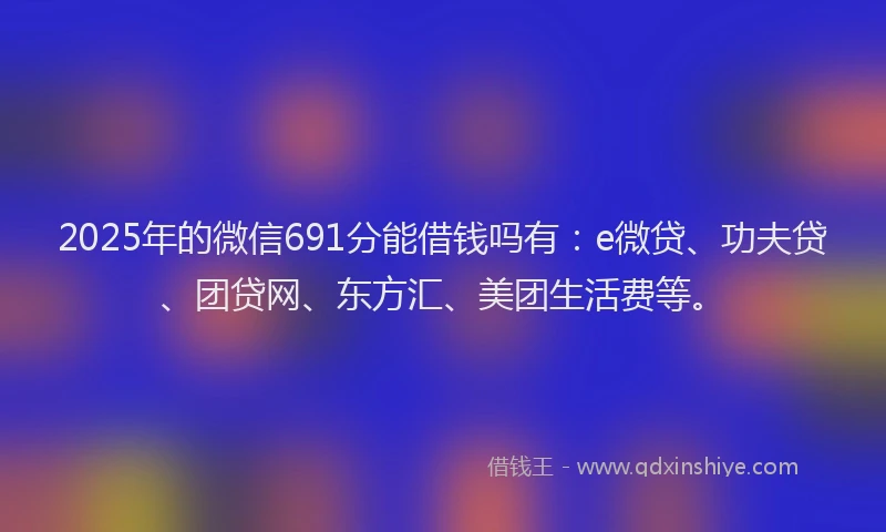 2025年的微信691分能借钱吗有：e微贷、功夫贷、团贷网、东方汇、美团生活费等。