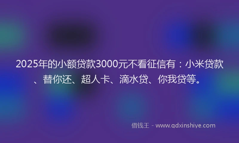 2025年的小额贷款3000元不看征信有：小米贷款、替你还、超人卡、滴水贷、你我贷等。