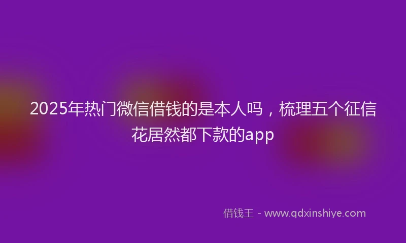 2025年热门微信借钱的是本人吗，梳理五个征信花居然都下款的app