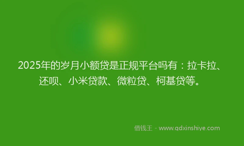 2025年的岁月小额贷是正规平台吗有：拉卡拉、还呗、小米贷款、微粒贷、柯基贷等。