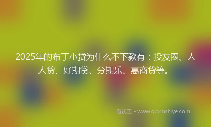 2025年的布丁小贷为什么不下款有：投友圈、人人贷、好期贷、分期乐、惠商贷等。