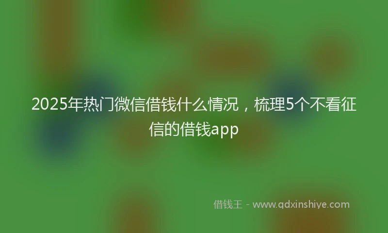 2025年热门微信借钱什么情况，梳理5个不看征信的借钱app