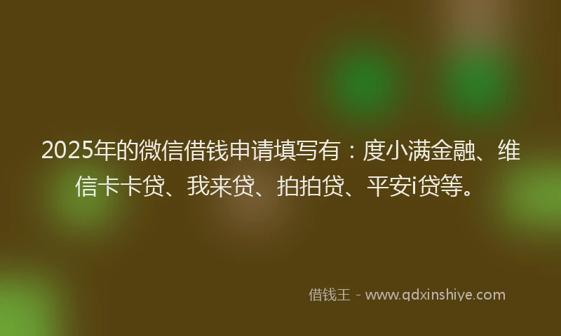 2025年的微信借钱申请填写有：度小满金融、维信卡卡贷、我来贷、拍拍贷、平安i贷等。