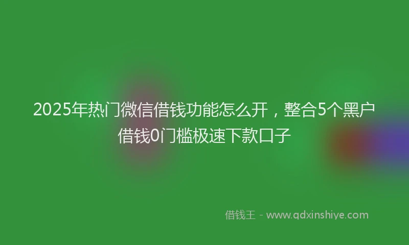 2025年热门微信借钱功能怎么开，整合5个黑户借钱0门槛极速下款口子
