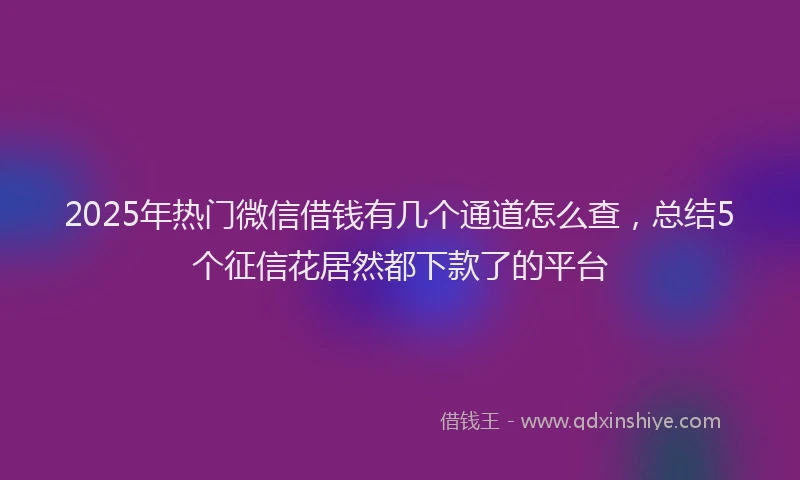 2025年热门微信借钱有几个通道怎么查，总结5个征信花居然都下款了的平台