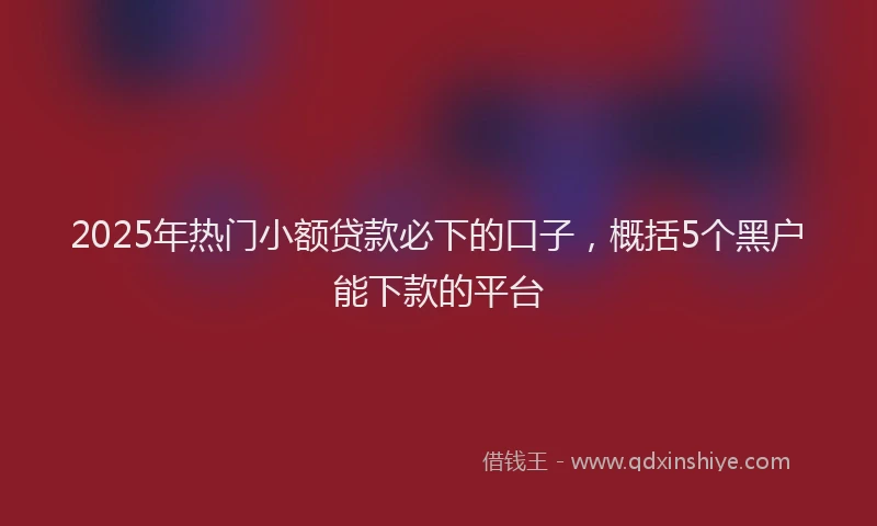 2025年热门小额贷款必下的口子，概括5个黑户能下款的平台