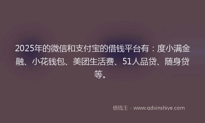 2025年的微信和支付宝的借钱平台有：度小满金融、小花钱包、美团生活费、51人品贷、随身贷等。