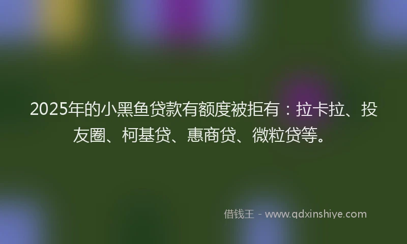 2025年的小黑鱼贷款有额度被拒有：拉卡拉、投友圈、柯基贷、惠商贷、微粒贷等。