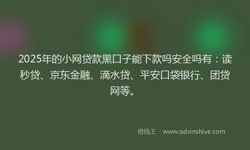 2025年的小网贷款黑口子能下款吗安全吗有：读秒贷、京东金融、滴水贷、平安口袋银行、团贷网等。