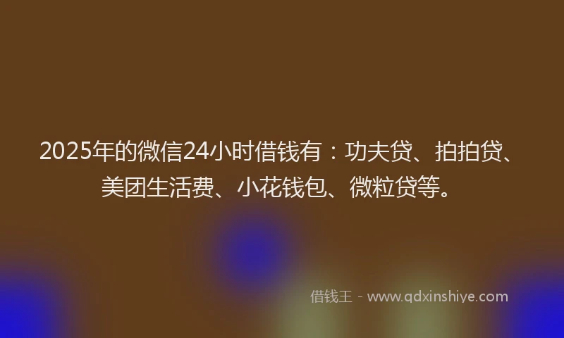 2025年的微信24小时借钱有：功夫贷、拍拍贷、美团生活费、小花钱包、微粒贷等。