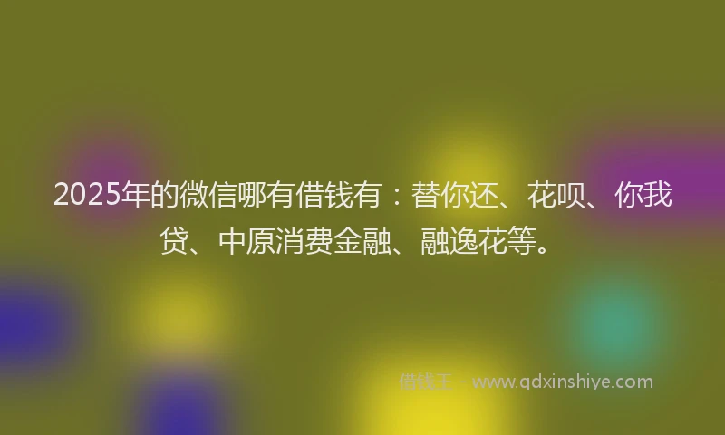 2025年的微信哪有借钱有：替你还、花呗、你我贷、中原消费金融、融逸花等。