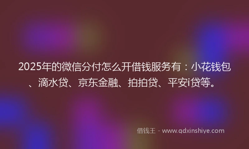 2025年的微信分付怎么开借钱服务有：小花钱包、滴水贷、京东金融、拍拍贷、平安i贷等。