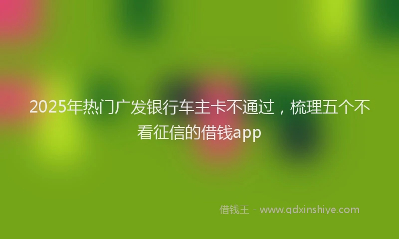 2025年热门广发银行车主卡不通过，梳理五个不看征信的借钱app