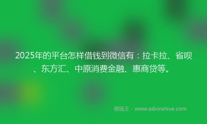 2025年的平台怎样借钱到微信有：拉卡拉、省呗、东方汇、中原消费金融、惠商贷等。