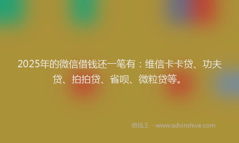 2025年的微信借钱还一笔有：维信卡卡贷、功夫贷、拍拍贷、省呗、微粒贷等。