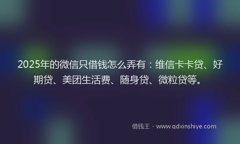 2025年的微信只借钱怎么弄有：维信卡卡贷、好期贷、美团生活费、随身贷、微粒贷等。