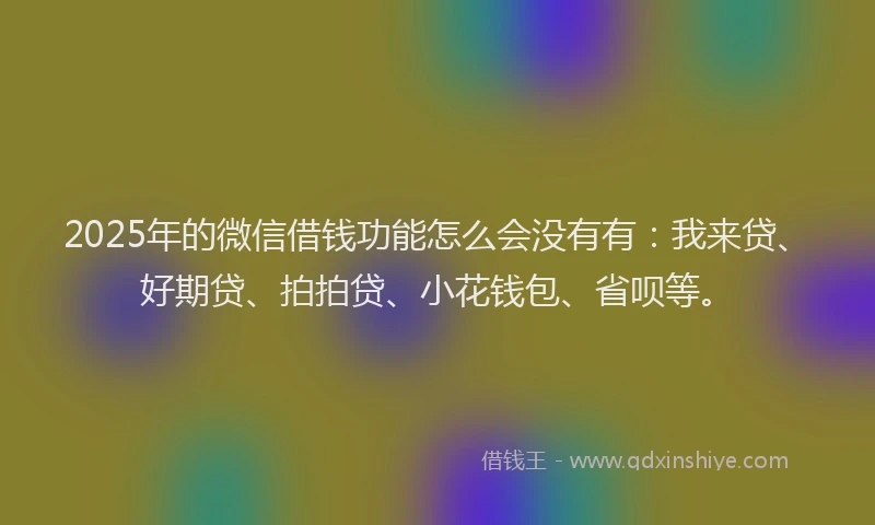 2025年的微信借钱功能怎么会没有有：我来贷、好期贷、拍拍贷、小花钱包、省呗等。