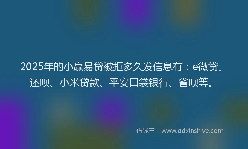 2025年的小赢易贷被拒多久发信息有：e微贷、还呗、小米贷款、平安口袋银行、省呗等。