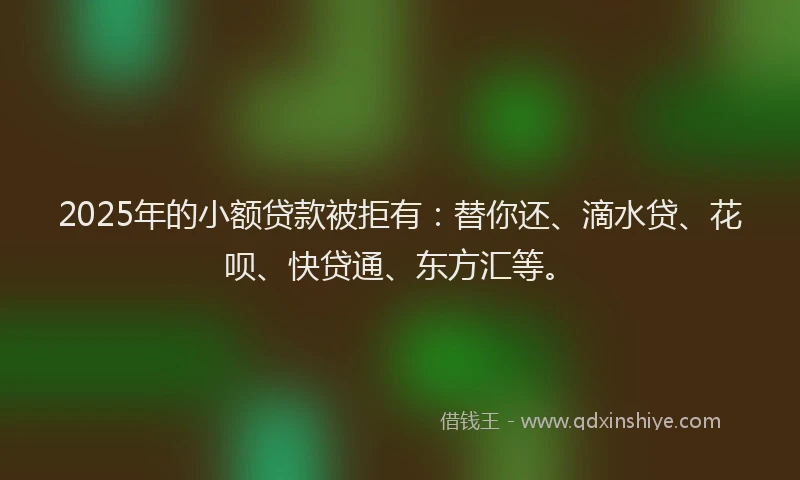 2025年的小额贷款被拒有：替你还、滴水贷、花呗、快贷通、东方汇等。