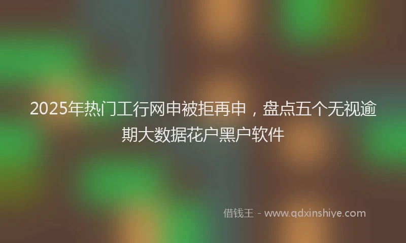 2025年热门工行网申被拒再申，盘点五个无视逾期大数据花户黑户软件