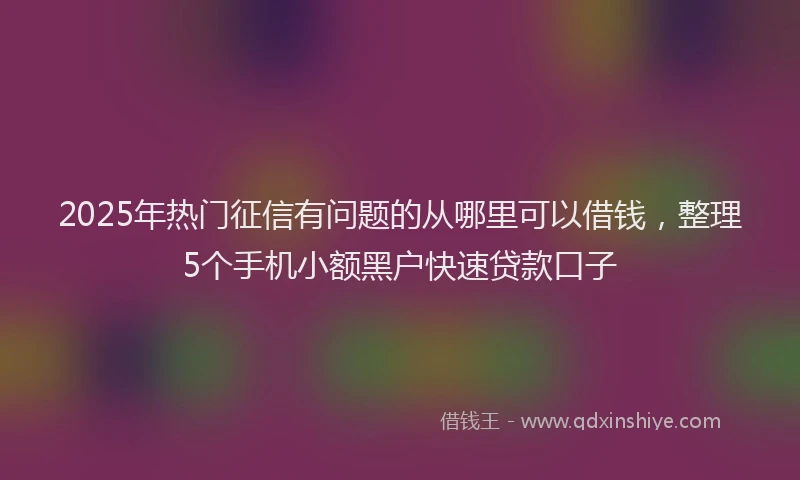 2025年热门征信有问题的从哪里可以借钱，整理5个手机小额黑户快速贷款口子