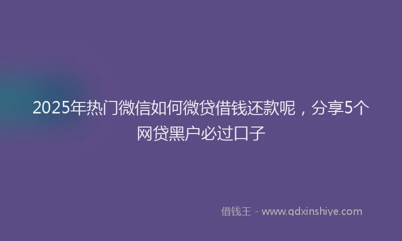 2025年热门微信如何微贷借钱还款呢，分享5个网贷黑户必过口子
