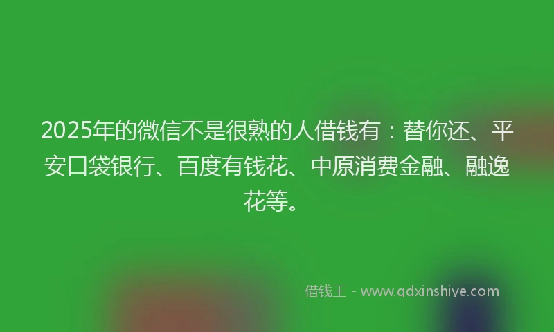 2025年的微信不是很熟的人借钱有：替你还、平安口袋银行、百度有钱花、中原消费金融、融逸花等。