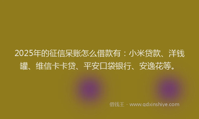 2025年的征信呆账怎么借款有：小米贷款、洋钱罐、维信卡卡贷、平安口袋银行、安逸花等。
